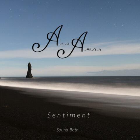 Sentiment (Sound Bath)