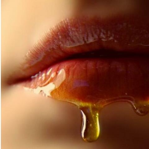 Honey Dip (feat. Silk Lucciano & Lil CJ)