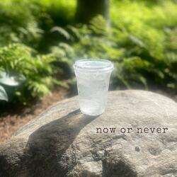 now or never (feat. Erik Schramek)