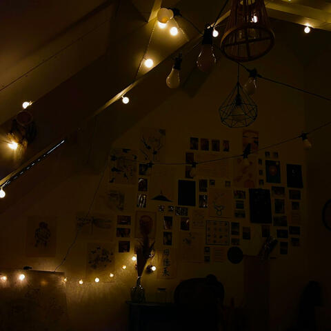the night we met