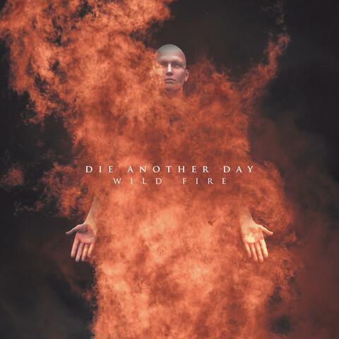 Wildfire