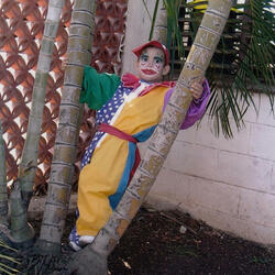 03FelizCumpleaños05