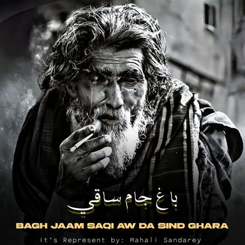 باغ جام ساقي ـ Bagh Jaam Saqi Aw Da Sind Ghara