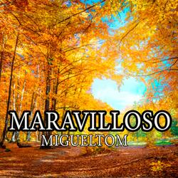 maravilloso