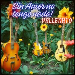 Sin Amor no tengo nada Vallenato