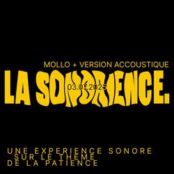 MOLLO MOLLO (Accoustique)