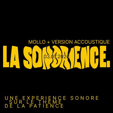 MOLLO.