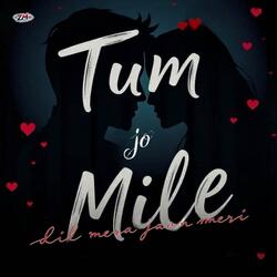 Tum Jo Mile Dil Mera Jaan Meri