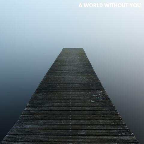 A World Without You