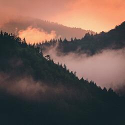 We Climbed the Mountain