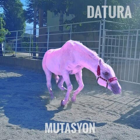 Mutasyon