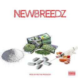 Ride With The Newbreedz (feat. Newbreedz)