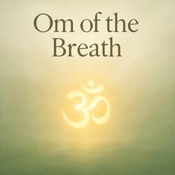 The Gentle Sound of Return