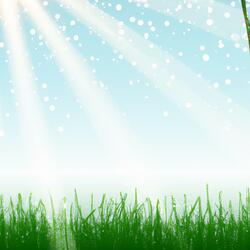 Enchanted Forest Serene Instrumental Music for Relaxation