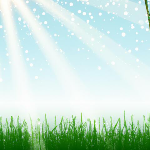 Relaxing Spring Meadow Ambience