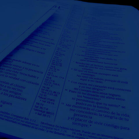 Porque tu me sostienes