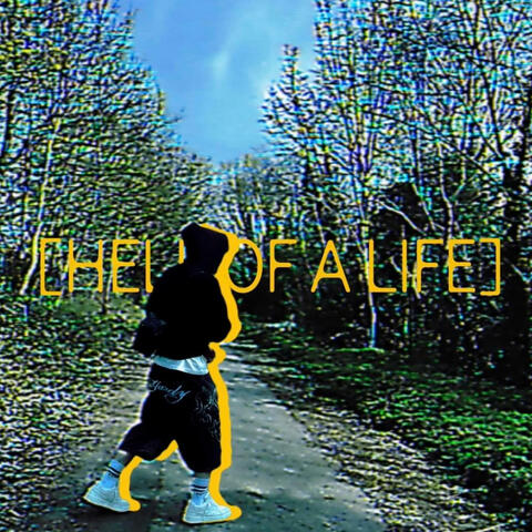 Hell Of A Life