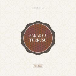 Sakarya Türküsü (Enstrümantal)