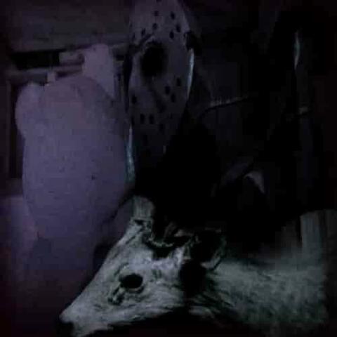 I dont wanna fall asleep #deadandbeautiful (feat. vampyrska)