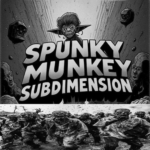 Subdimension
