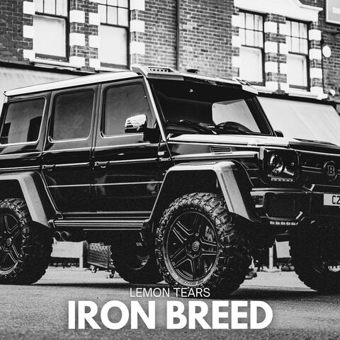 IRON BREED