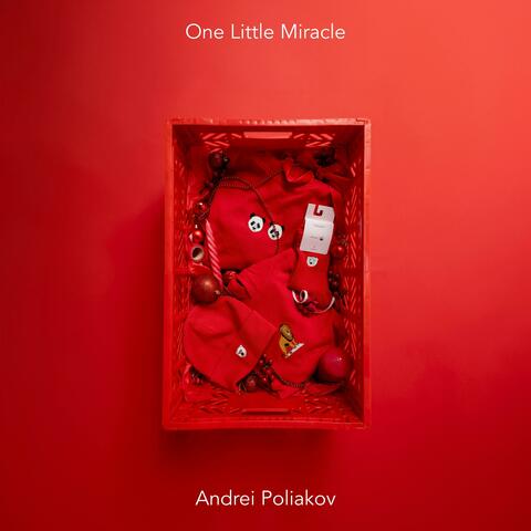 One Little Miracle