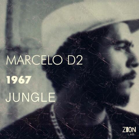 1967 Jungle