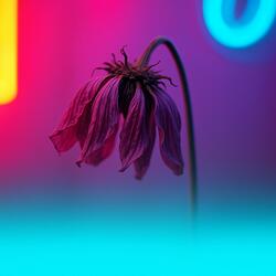 왕년언니들 (feat. Lorenkeem)