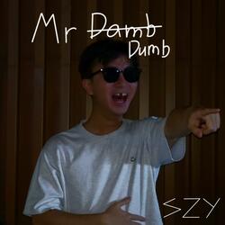 Mr Dumb