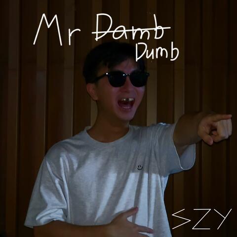 Mr Dumb