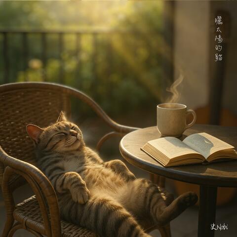 曬太陽的貓