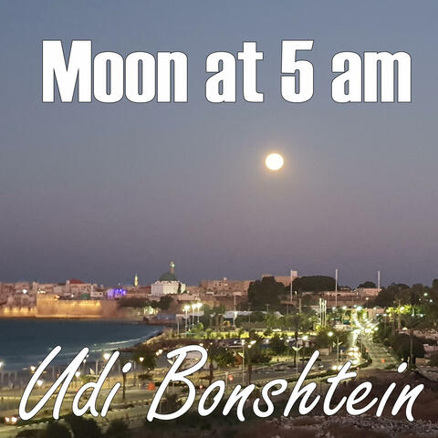Moon at 5 am