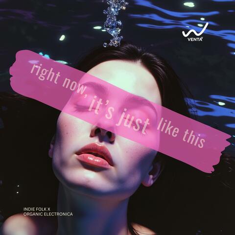 Right Now, It’s Just Like This - Indie Folk x Organic Electronica
