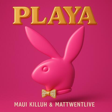 PLAYA (feat. Mattwentlive)