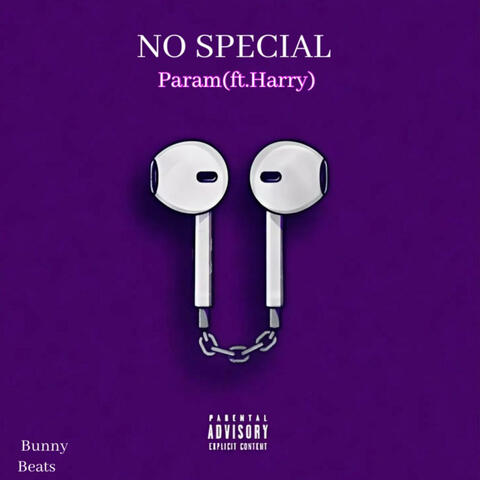 No Special (feat. Harry)