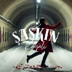 Şaşkın
