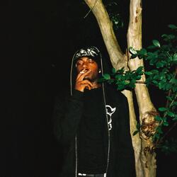 Regular Guy