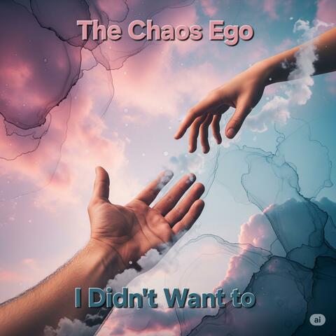 I Didn't Want to