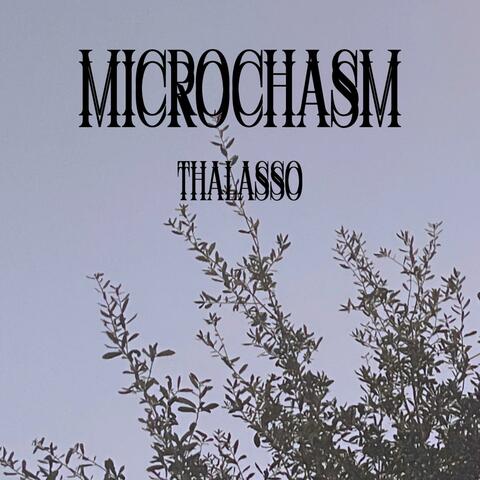 Microchasm