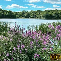 Reality from Fiction