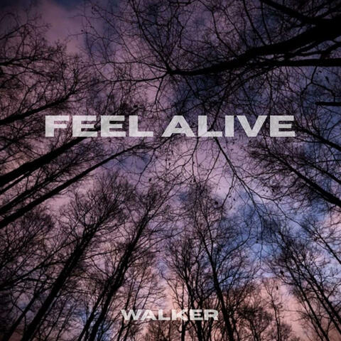 Feel Alive