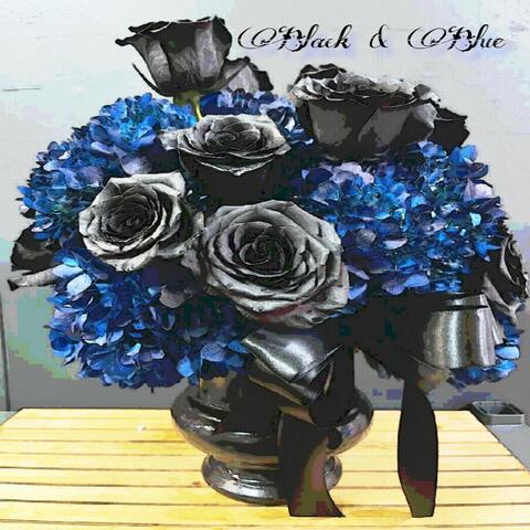 Black And Blue