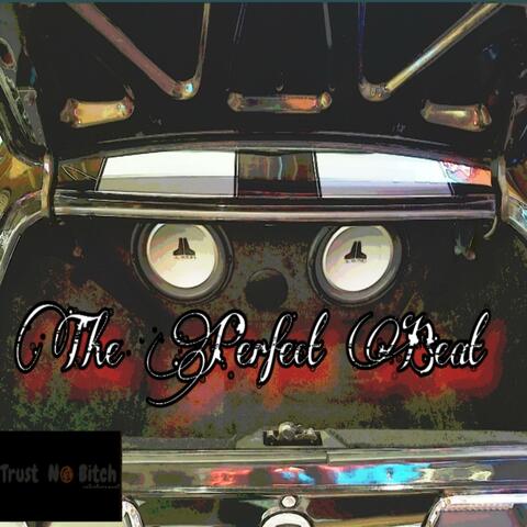 The Perfect Beat