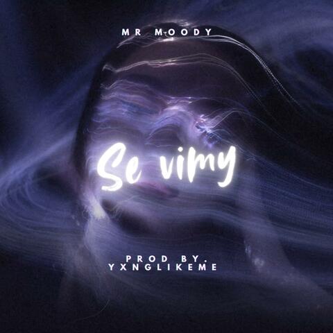 Se Vimy (feat. Mr Moody)