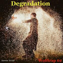 Degradation (Summer '25 Edit)