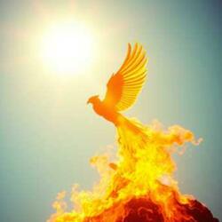 Rise Through the Shadows