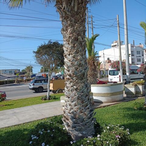 dime que hacerrrr (Beeat)