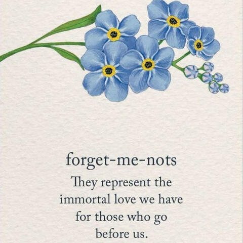 forget me not