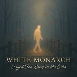 Stayed Too Long in the Echo