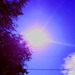 Looking At The Sky